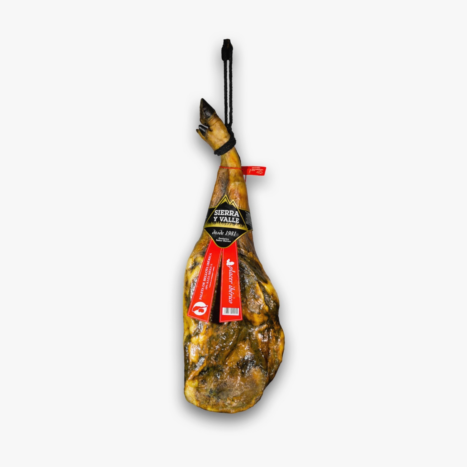 PALETA IBÉRICA BELLOTA RAZA 50% SIERRA Y VALLE